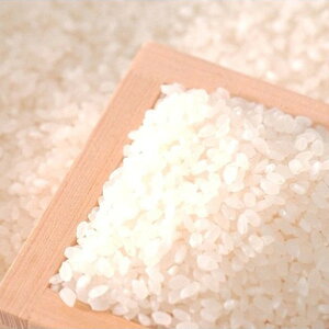 Ε 2025 VYRVqJv6kg  G Zbg lߍ킹 ~ ~Mtg Ε Mtg 蕨 