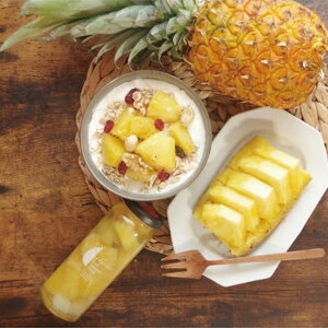 Ε 2025  idsumisNX t[cR|[g5{Zbg rl t[c ʕ ~ ~Mtg Ε Mtg 蕨 