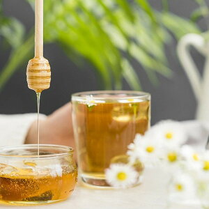 Ε 2025  vۗ{I uKAYn`~cMtg p W VA W ݂͂ ~ ~Mtg Ε Mtg 蕨 