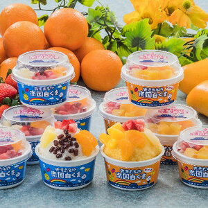 Ε 2025 썑܁}S[lZbg 2v10 ACXN[ V[xbg eACXN[ V[xbgZbg ~ ~Mtg Ε Mtg 蕨 