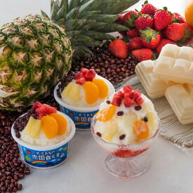 お歳暮 2025 鹿児島名物南国白くま＆モナカ詰合せ アイスクリーム シャーベット 各種アイスクリーム シャーベットセット 冬 冬ギフト 歳暮 ギフト 贈り物 寒中見舞い 楽天 シャディ