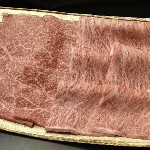 Ε 2025  쉮 ߍ]ݏĂ  Hi  o Jr ~ ~Mtg Ε Mtg 蕨  yV X[p[Z[