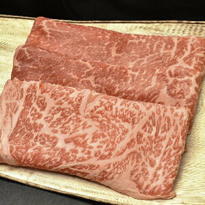 Ε 2025  쉮 ߍ]₫EԂԗp  Hi  Zbg lߍ킹 ~ ~Mtg Ε Mtg 蕨 