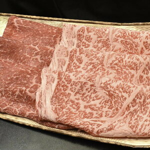 Ε 2025  쉮 ߍ]₫EԂԗp  Hi  Zbg lߍ킹 ~ ~Mtg Ε Mtg 蕨 