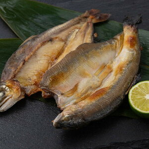 Ε 2025 ml\Is̈銱6Zbg  YHi ̑Y A ~ ~Mtg Ε Mtg 蕨 