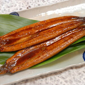 Ε 2025 m l\Is mYȂ y ay Ă ~ ~Mtg Ε Mtg 蕨  yV X[p[Z[