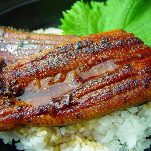 ���Ε� 2025 ���m �l���\���I�s ���m���Y���Ȃ����ăJ�b�g �y�� �a���y�� ���Ă� �~ �~�M�t�g �Ε� �M�t�g ���蕨 ���������� �y�V �V���f�B