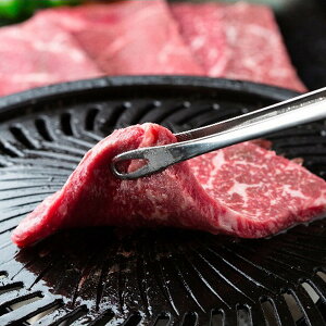 Ε 2025 ɐ_˃r[tXe[L  Hi   ~ ~Mtg Ε Mtg 蕨 