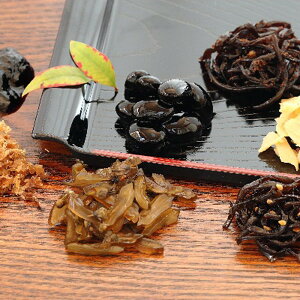 Ε 2025 HiCR̎| y ay ώ ~ ~Mtg Ε Mtg 蕨 