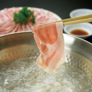 Ε 2025  ܒ܎O؍ Ԃ  Hi ؓ Zbg lߍ킹 ~ ~Mtg Ε Mtg 蕨 