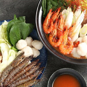 Ε 2025 啪 LJ 啪YԊCVܐhѓZbg y Zbg ~ ~Mtg Ε Mtg 蕨 