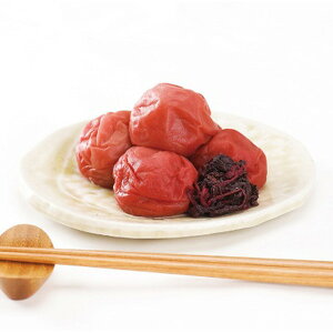 Ε 2025 a̎RIB썂~ Е ~ L` ~ ~ ~ ~Mtg Ε Mtg 蕨 