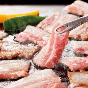 Ε 2025 Od|[Nē  Hi ؓ Zbg lߍ킹 ~ ~Mtg Ε Mtg 蕨 