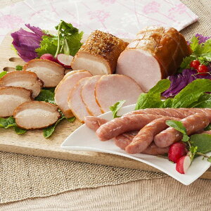 Ε 2025 ɉ̗ 邵ē؁[XnECi[l  Hi Hi Zbg lߍ킹 ~ ~Mtg Ε Mtg 蕨 