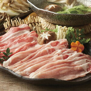 Ε 2025 Od|[N[XEoԂ  Hi ؓ Zbg lߍ킹 ~ ~Mtg Ε Mtg 蕨 