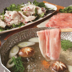 Ε 2025 Od|[NԂ 낵||t  Hi ؓ  ~ ~Mtg Ε Mtg 蕨 