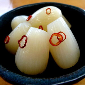 Ε 2025 {㉫YƋ{蔭nЕl Е ~ L` Е Zbg lߍ킹 ~ ~Mtg Ε Mtg 蕨 