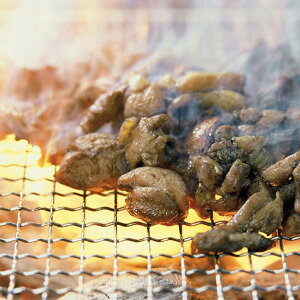 Ε 2025 {̒YΏďZbg y ay Ă  ~ ~Mtg Ε Mtg 蕨 