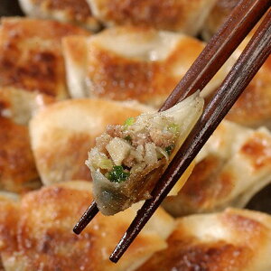 Ε 2025 ɁE_˓싞 哯s ސLq y ؑy _S Lq L ~ ~Mtg Ε Mtg 蕨 