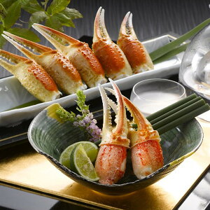 Ε 2025 {C킢ɒ  YHi Jj ~ ~Mtg Ε Mtg 蕨  yV VfB