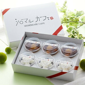 Ε 2025 kC V}JtF ʃXC[cZbg aَq 啟 啟 ~ ~Mtg Ε Mtg 蕨 