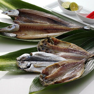 ���Ε� 2025 �É����� ���a ����5��Z�b�g ����� ���Y���H�i ���H�i ���� ���� �X���[�N�H�i �~ �~�M�t�g �Ε� �M�t�g ���蕨 ���������� �y�V �V���f�B