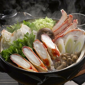 Ε 2025 {C΂ɍ؂  YHi Jj ~ ~Mtg Ε Mtg 蕨  yV VfB