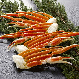 Ε 2025 {C킢ɋr  YHi Jj ~ ~Mtg Ε Mtg 蕨  yV VfB