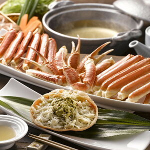 Ε 2025 {C킢Ɏp  YHi Jj ~ ~Mtg Ε Mtg 蕨  yV VfB