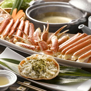 Ε 2025 {C킢Ɏp  YHi Jj ~ ~Mtg Ε Mtg 蕨  yV VfB