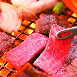 Ε 2025 đ򋍃oēp  Hi  o Jr ~ ~Mtg Ε Mtg 蕨  yV X[p[Z[