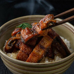 Ε 2025 BYVYĂ݂Ȃ  YHi ~ ~Mtg Ε Mtg 蕨 