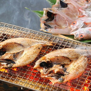 ���Ε� 2025 �R�� �R�� �̂ǂ���J������8���Z�b�g ����� ���Y���H�i ���H�i ���� ���� �X���[�N�H�i �~ �~�M�t�g �Ε� �M�t�g ���蕨 ���������� �y�V �V���f�B