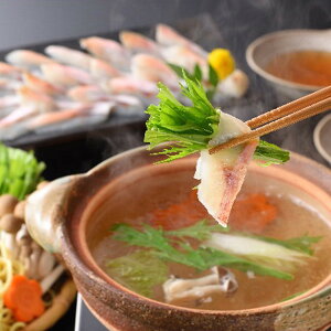 Ε 2025 R R ̂ǂ낵ԂԓZbg y Zbg ~ ~Mtg Ε Mtg 蕨 