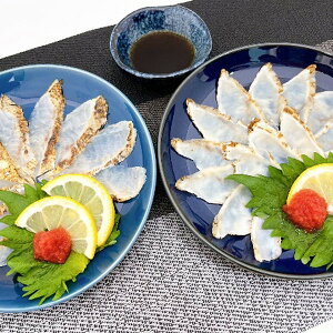 Ε 2025 R R ӂÊǂth׃Zbg  YHi Zbg lߍ킹 ~ ~Mtg Ε Mtg 蕨  yV X[p[Z[