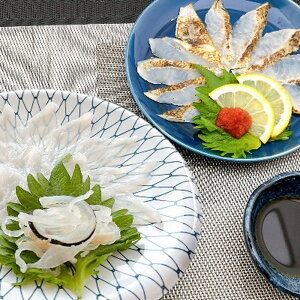 Ε 2025 R R gtOÊǂghgZbg  YHi Zbg lߍ킹 ~ ~Mtg Ε Mtg 蕨 