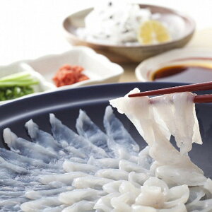 Ε 2025 R R VRgtOhgZbg  YHi Zbg lߍ킹 ~ ~Mtg Ε Mtg 蕨 