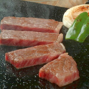 Ε 2025  O򋍃IK^ O򋍃gTJNXe[L  Hi  ~ ~Mtg Ε Mtg 蕨 