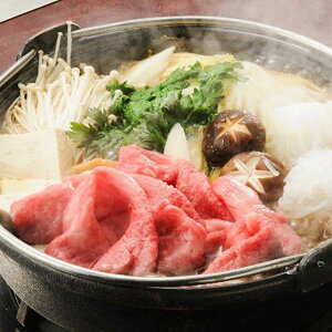 Ε 2025 O򋍃IK^ `qꋍ[XĂEԂԗp  Hi  [X ~ ~Mtg Ε Mtg 蕨 