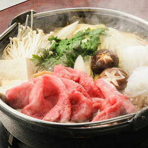 Ε 2025 O򋍃IK^ `qꋍĂEԂԗp  Hi  [X ~ ~Mtg Ε Mtg 蕨 