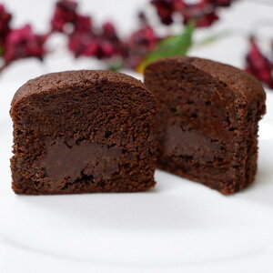 Ε 2025  ~Jh gtVRP[L P[L `R[gP[L Kg[VR ~ ~Mtg Ε Mtg 蕨 