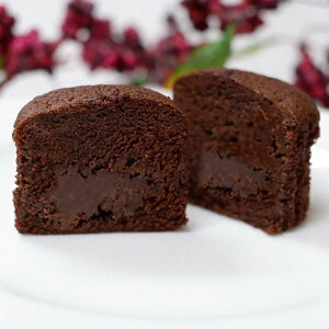 Ε 2025  ~Jh gtVRP[L P[L `R[gP[L Kg[VR ~ ~Mtg Ε Mtg 蕨 