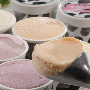 ���Ε� 2025 �k�C�� �\���h���`�F �\�������q��A�C�X �A�C�X�N���[�� �V���[�x�b�g �A�C�X�N���[�� �~ �~�M�t�g �Ε� �M�t�g ���蕨 ���������� �y�V �V���f�B