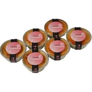 Ε 2025 kC \h`F \J^[i mَq v ~ ~Mtg Ε Mtg 蕨 