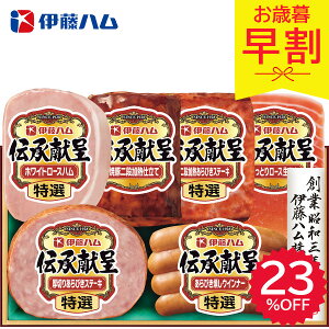  Ε 2025 ɓn `Mtg TO-51V  Hi Hi Zbg lߍ킹 ~ ~Mtg Ε Mtg 蕨 