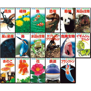 wق̐}NEO|Pbg17Zbg 218956 mߋ wKߋ  Ƃ΃NX}X xmas ߋ  Mtg v[g