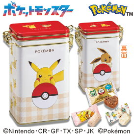 バレンタイン チョコ 2026 ギフト スイーツミニキャニスター缶 ポケモン PV-6 チョコレート スイーツ 詰め合わせ お菓子 おしゃれ かわいい ブランド 個包装 小分け ピカチュウ クランチ 缶 チョコ缶 義理チョコ 友チョコ 職場 会社 配り用 贈り物 お礼 子供