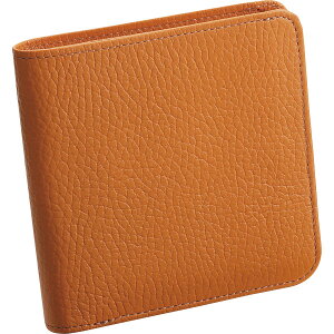 ǕiH[ {v܍z L B0110-204CA 