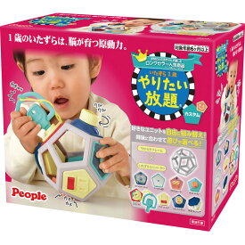 ピープル いたずら1歳やりたい放題カスタム HD-018 出産祝い 内祝い お返し 記念品 誕生日 退職祝い セット おもちゃ 玩具 キッズ ギフト プレゼント 誕生日