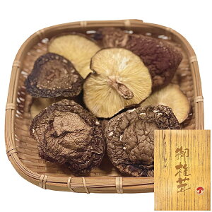 Y؊ő M 65g OK-25   oYj j Ԃ LOi a ސEj